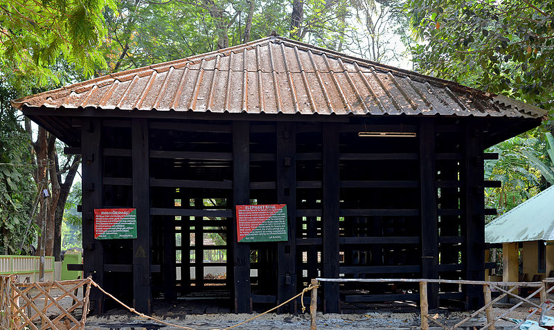 Kodanad Elephant Training Centre