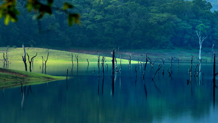 Thekkady